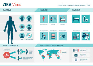 What You Need to Know About Zika Virus