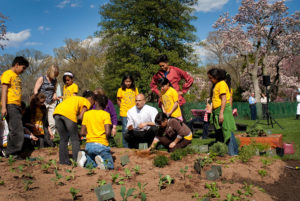 Plants: Partners in Health?  Vegetables, Fruits, Herbs, and You