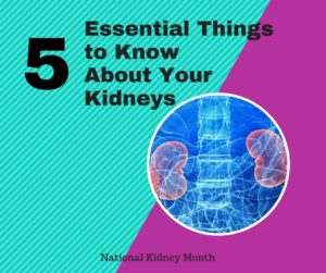 5 Essential Things to Know About Your Kidney