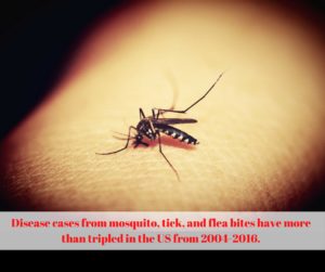 Disease cases from mosquito, tick, and flea bites have more than tripled in the US from 2004-2016.