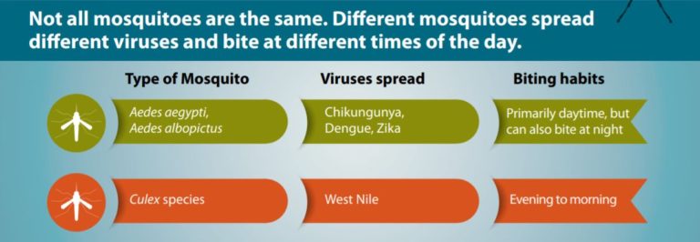 Protect Against Mosquito-Borne Viral Diseases This Season – Swift ...